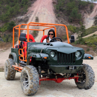 风感觉沙滩车越野大型摩托车卡丁车UTV吉普车 300cc汽油版两驱标配