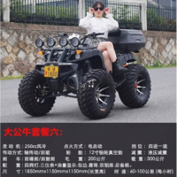 婉晨大公牛四轮越野沙滩车自动挡四驱大悍马 250cc风冷发动机 大公牛套餐六(不带后备箱)