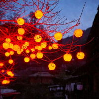 优合创佳2025款彩灯[柿柿如意]8CM柿子 太阳能款10米36灯 遥控+USB充电款