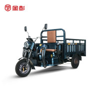 金彭骏威Pro电动货运三轮车载货拉货农用家用快递车 1.7米1000W铅酸电池60V52A