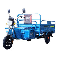 GUOWEI/国威 电动三轮车 神豹8 60V 45A 标准款 1000W电机 不含安装 1辆