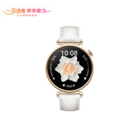 华为WATCH GT4智能手表 呼吸健康研究心律失常提示 男女表41mm 凝霜白