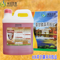 谋福41%草gan膦异丙胺盐杀草剂4KG*4桶/箱 磷灭生性烂根果园荒地杂草农药