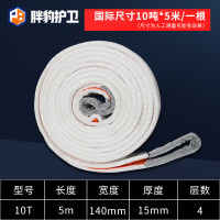 绽望 吊装带白色扁平双扣3吨5t加厚行车吊带工业起重吊车吊绳 10吨5米