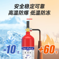 NINGLU 3公斤二氧化碳灭火器商用2kg 2025年新国标气体灭火器档案仪器厂房国家消防3C认证