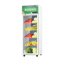 扬子150L单门食品留样柜[直冷数显款]安全带锁保鲜72小时 幼儿园食品留样专用柜展示柜带锁