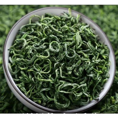 香茶叶绿茶500g