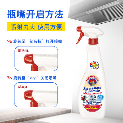 大公鸡管家(CHANTECLAIR) 多能油污净马赛香型600ml