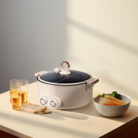 艾美特(Airmate) 鸳鸯锅 CR2005 5L