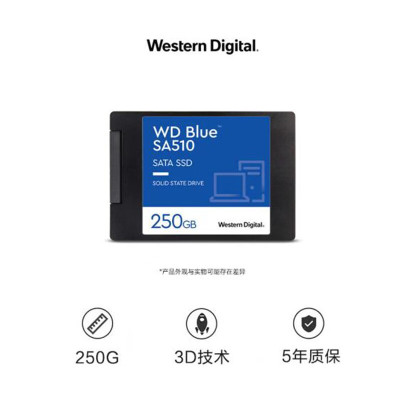 西部数据(WD)Blue系列SA510蓝盘2.5英寸 SATA3.0接口 250G[WDS250G2B0A]