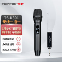 得胜(TAKSTAR)TS-K301无线麦克风一拖一 弹唱K歌户外音响会议舞台