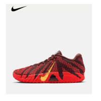 耐克 篮球鞋 IB6509-200