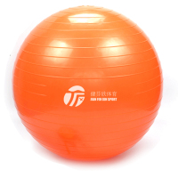 健芬欣瑜伽球 65cm