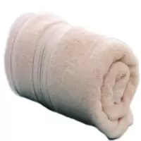 成龙CLMJ-1 35*75cm 100g 棉 毛巾 (计价单位:条) 米色