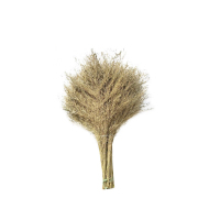 超事通 竹柄竹枝 大扫把(单位:个)