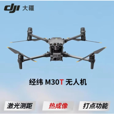 无人机 大疆/DJI M30T 31 -60min