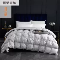 班诺 全棉羽绒被 扭花款 200*230cm/6斤/床(灰色)