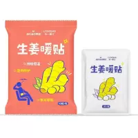 海氏海诺10贴装草本生姜暖贴冬季外出保暖贴一次性自发热防寒暖身贴暖宝宝