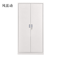 风雷动钢制资料柜档案柜财务凭证柜带锁储物柜铁皮柜书柜铁开门文件柜常规A