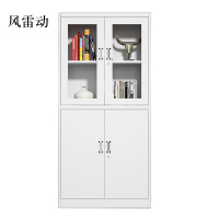 风雷动钢制文件柜资料柜档案柜财务带锁储物柜铁皮柜书柜等器文件柜常规A