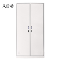 风雷动加厚二门钢制更衣柜员工柜铁皮职工储物柜带锁存包柜鞋柜常规A