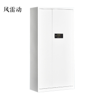 风雷动文件柜电子密码锁财务档案柜保险柜资料柜铁 通体密码锁常规A