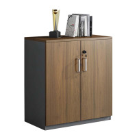 风雷动办公室矮柜储物柜文件柜2门常规A