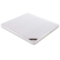 风雷动椰棕床垫家用棕垫10cm防螨抗菌(0胶水天然椰棕+软硬两用+全拆洗)800mm*2000mm常规A