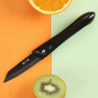 张小泉 D20930100 不锈钢 水果刀 沁怡黑 (计价单位:把)
