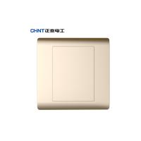 正泰(CHNT) 空白面板 NEW2-N95102 香槟色