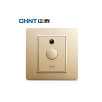 正泰(CHNT) 按键延时开关100W 两线制、可控制白炽灯、节能灯 NEW2-N31032 香槟色