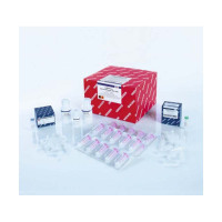 试剂盒 219610 用于血清血浆病毒提取DNA/RNA 10 pmol