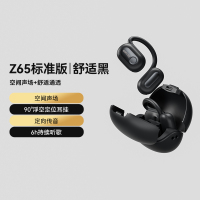 SANAG塞那 蓝牙耳机Z65 标准版黑