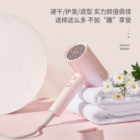 小适(showsee) 负离子家用大功率吹风机 A1801p