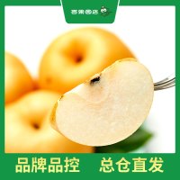 百果园冰糖梨(大果)4.2斤6粒彩箱装(净重2.1-2.5kg)