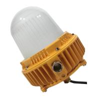 LEIFA/雷发 LED防爆灯 LFB-30-01 1个 销售单位：个