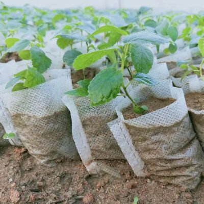 无纺布育苗袋树苗营养袋可降解容器苗圃营养袋园林美植袋-【平口】;【100个】