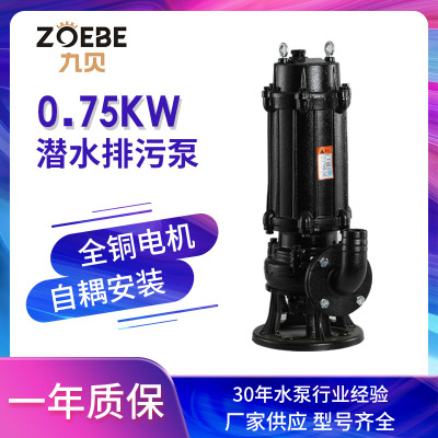 小流量潜水污水泵 50WQ10-10-0.75kw 相小型220V家用污水潜水泵-WQD10-10-0.75