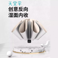 天堂伞定印制logo10骨大号晴雨两用伞银胶防晒太阳伞男女双人伞广告伞-天蓝色