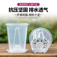 蝴蝶兰专用花盆空气柱透明青山盆特大号大口径塑料圆形桌面高花盆-外径12CM;5个装-带托盘
