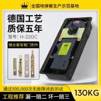 地弹簧H220C承重110KG玻璃门有框无框木门通用配件弹簧-90度定位