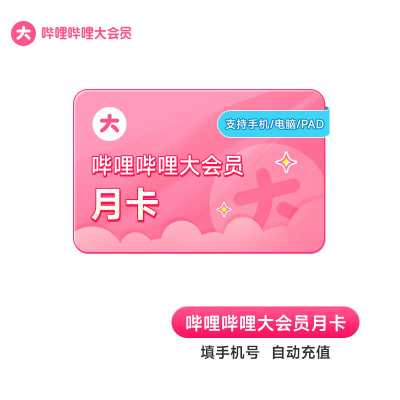 哔哩哔哩大会员月卡（直充）