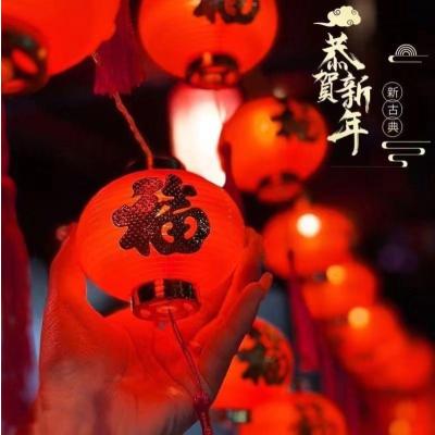 LED红灯笼灯串福字灯新年装饰灯高亮太阳能庭院灯- 金福柱纹灯笼【长10厘米】20米72灯24V低压插电款【红线】8功能