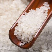 邻家饭香 东北大米长粒香500g/袋LJFX13-C-