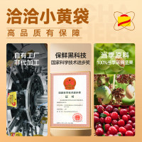 洽洽 每日坚果15日装345g+480ml（内赠2罐坚果乳）