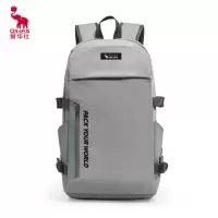 爱华仕(OIWAS) 双肩包 大容量 户外运动 登山包OCB5008 默认灰色【黑色备注】
