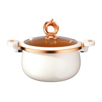 龙的微压珐琅锅LD-TM539-26cm彩盒包装;LD-TM539