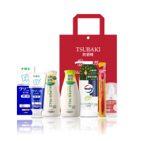 狮王 资生堂日化套装-24DJ412