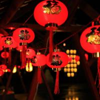 LED红灯笼灯串福字灯新年装饰灯高亮新古风家用庭院灯--金福圆纹灯笼【6厘米】5米18灯24V低压插电款-红线-8功能