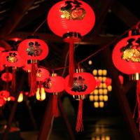 LED红灯笼灯串福字灯新年装饰灯高亮新古风家用庭院灯--金福圆纹灯笼【8厘米】5米18灯24V低压插电款-红线-8功能